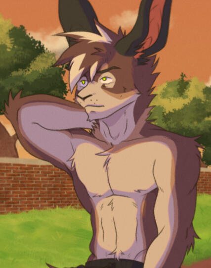 Aurélien (JCanis77)